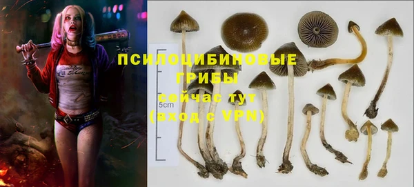 прущая мука Володарск