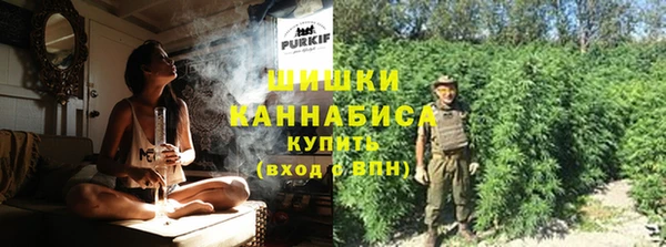 МДПВ Волоколамск