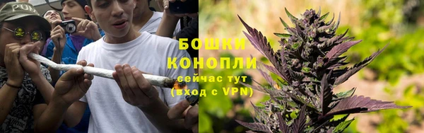 прущие крисы Верея