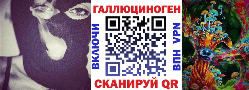 Галлюциногенные грибы Psilocybe купить наркотик Вязники