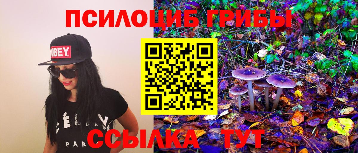 Псилоцибиновые грибы ЛСД  Вход с VPN  Галлюциногенные грибы ЛСД  Вязники 