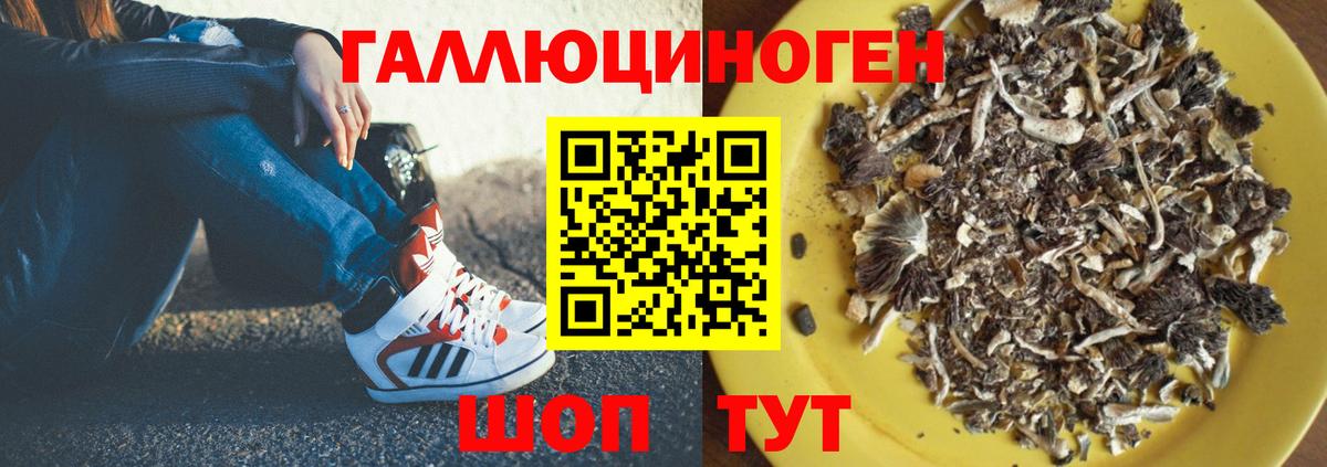 Псилоцибиновые грибы мухоморы Вязники