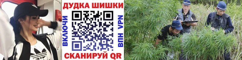 Каннабис сатива  купить  сайты  Вязники 